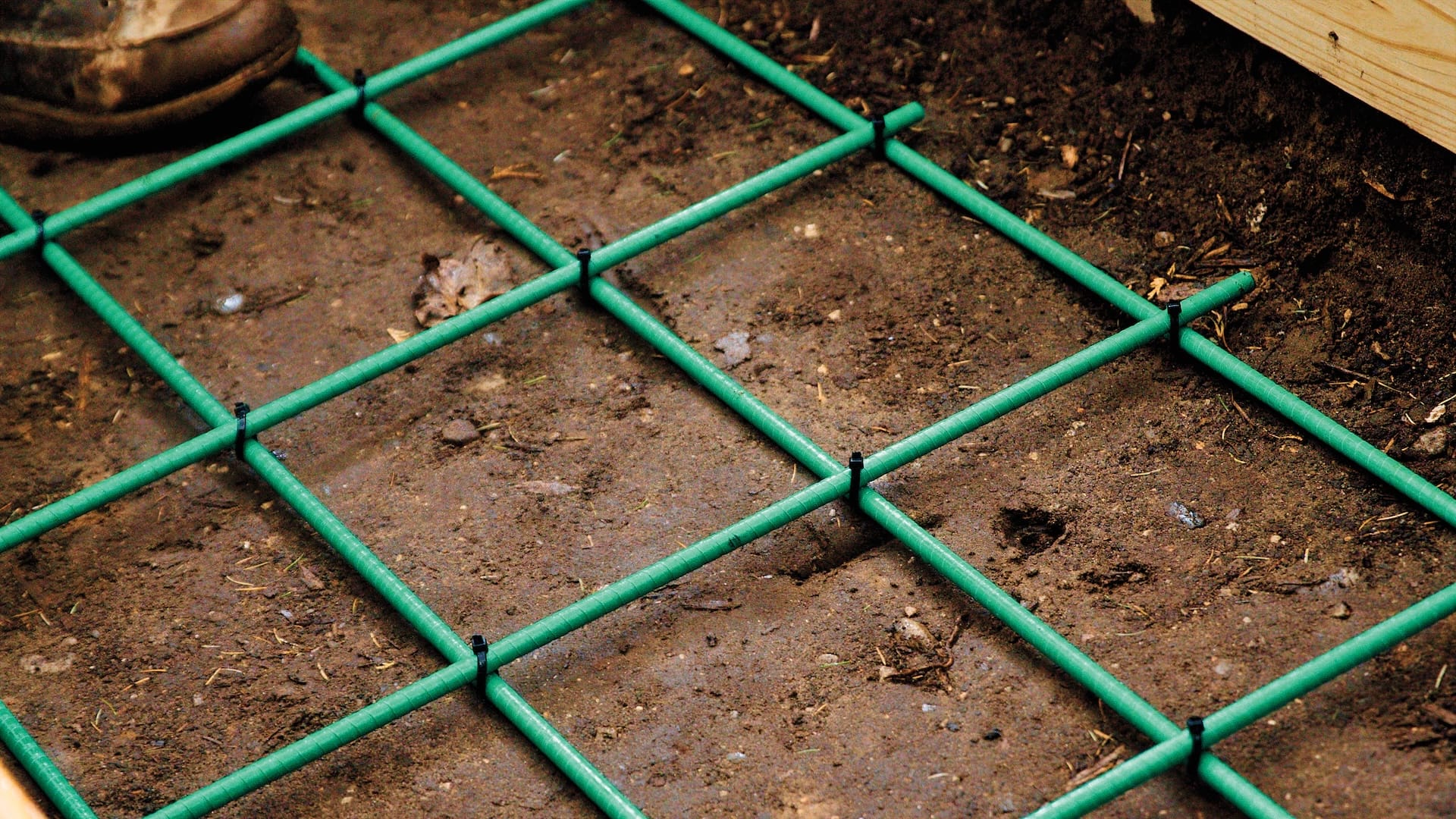 Green fiberglass rebar installed on wet dirt, with a shoe at the top of the image.